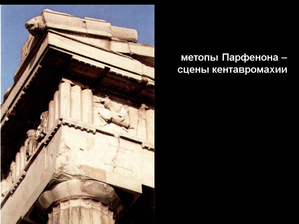 метопы Парфенона – сцены кентавромахии